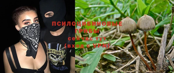 mdpv Алексеевка