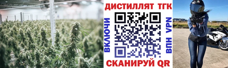 ТГК Wax  Бабаево 