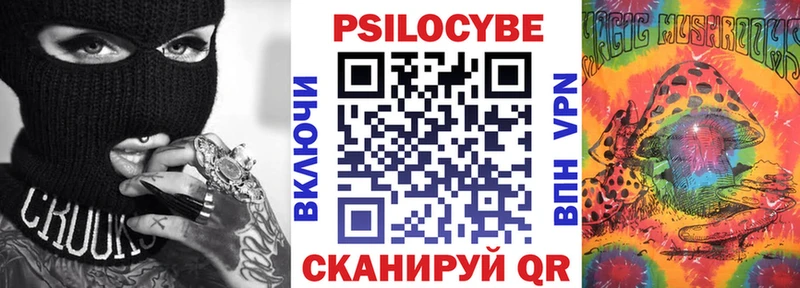 Псилоцибиновые грибы Psilocybine cubensis  Бабаево 